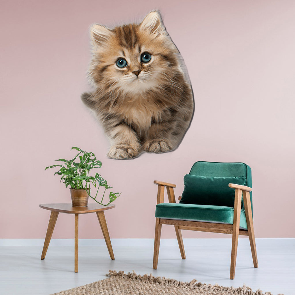 Cute Cat #1