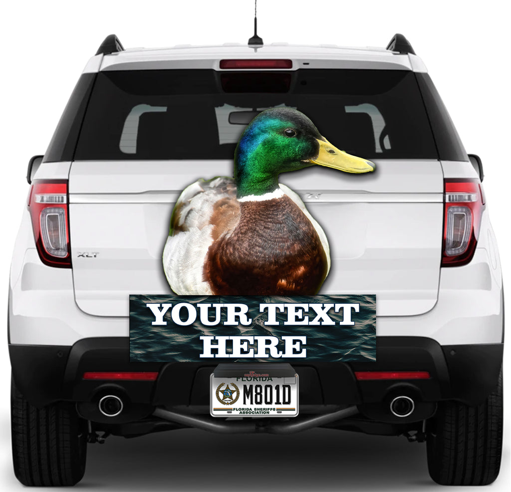 What the Duck