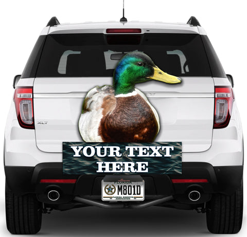 Image of What the Duck