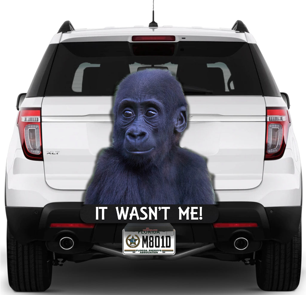 Baby Gorilla It Wasn't Me