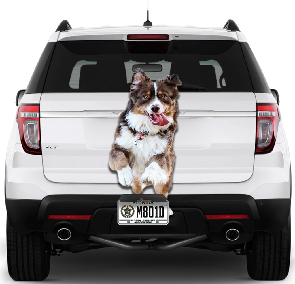 Cute Dog