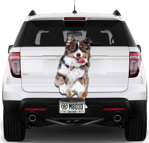 Image of Cute Dog
