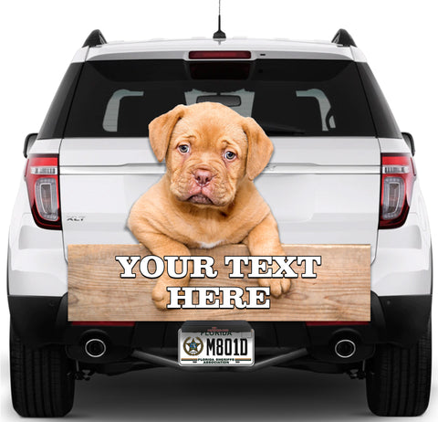 Image of Dog Let me Out