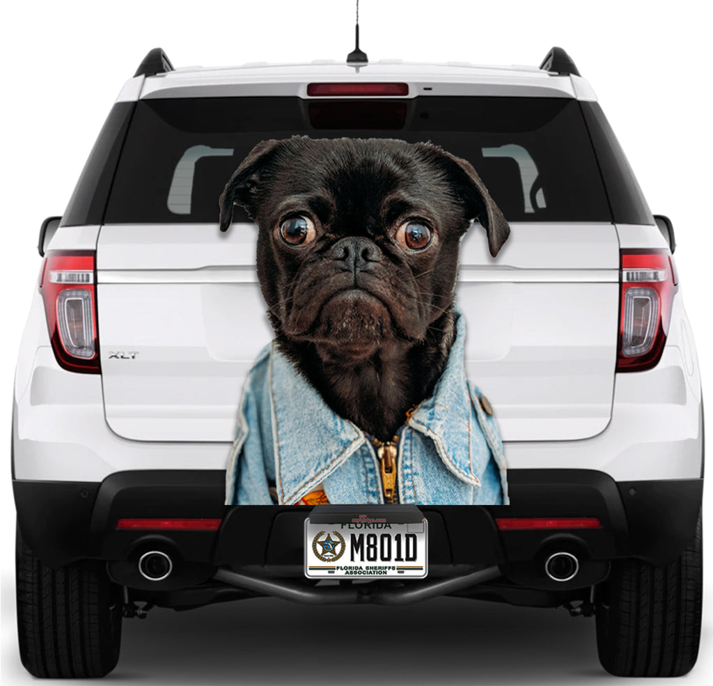 Funny Dog