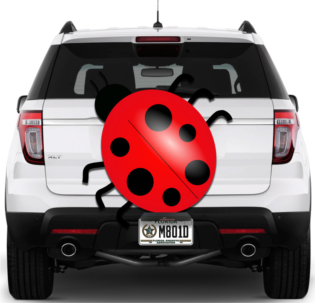 Lady Bug