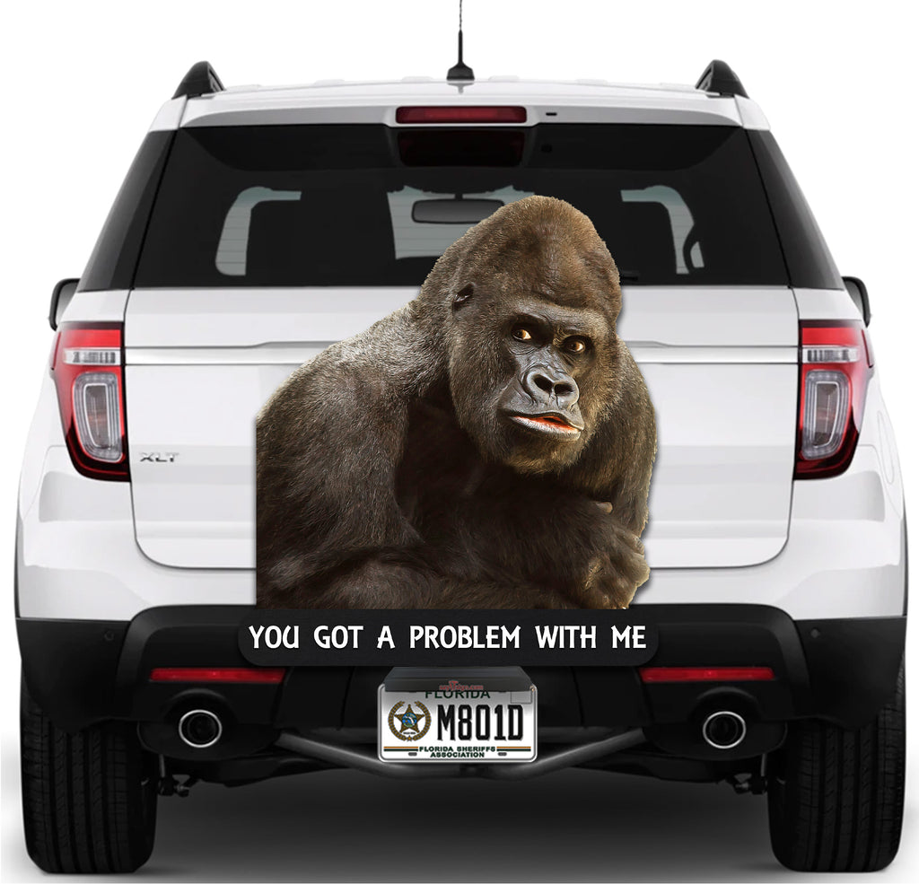 Mean Old Gorilla You Got a Problem