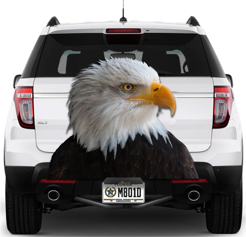 Image of Eagle