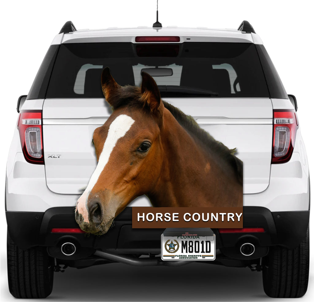 Horse Country