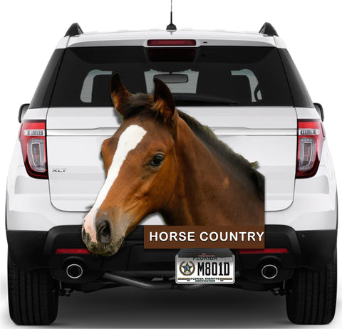 Image of Horse Country