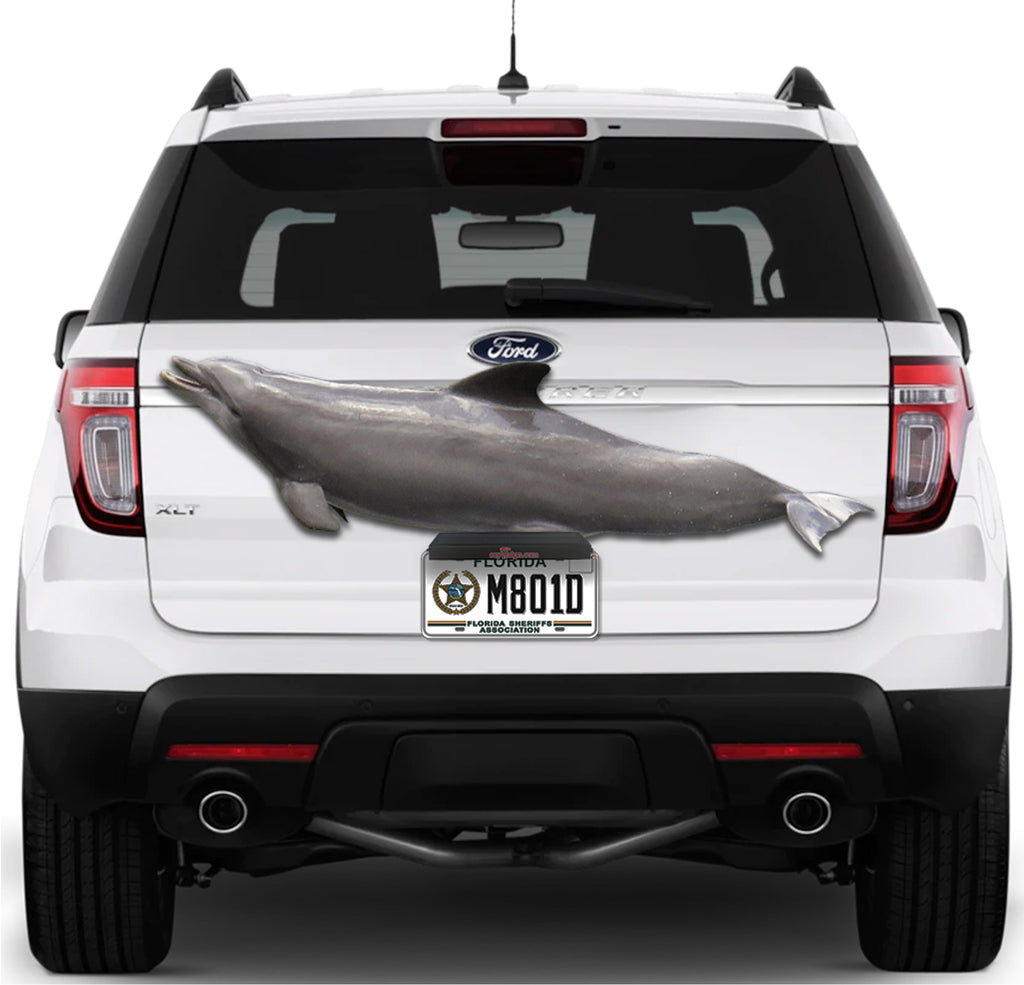 Porpoise Support