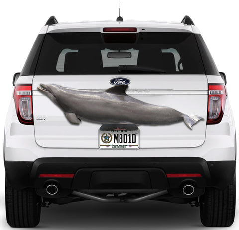 Image of Porpoise Support
