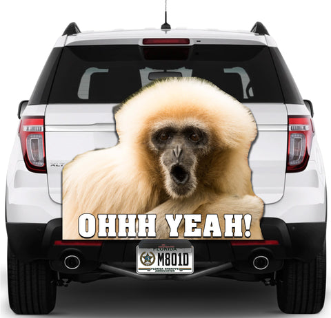 Image of Monkey OHHH Yeah