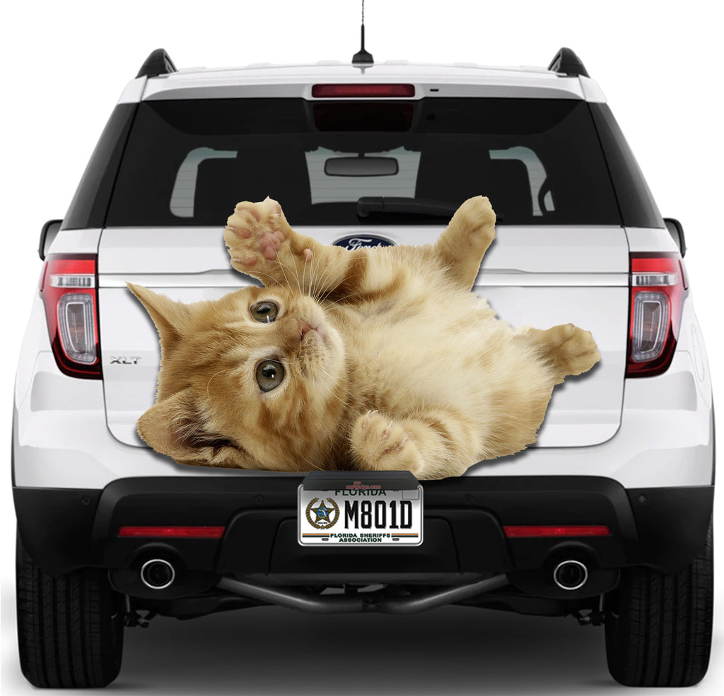 Cute Cat #2