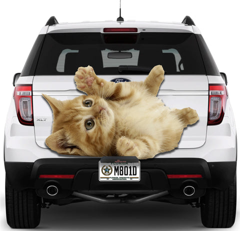 Image of Cute Cat #2