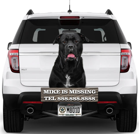 Image of Black Dog