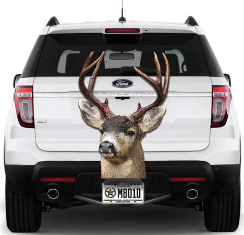 Image of Deer Face
