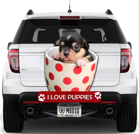 Image of Puppy in a Cup