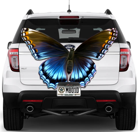 Image of Butterfly