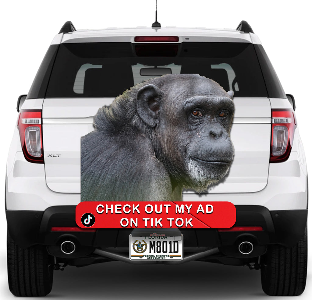 Check me out Ape