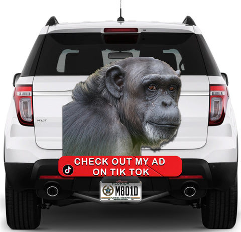 Image of Check me out Ape