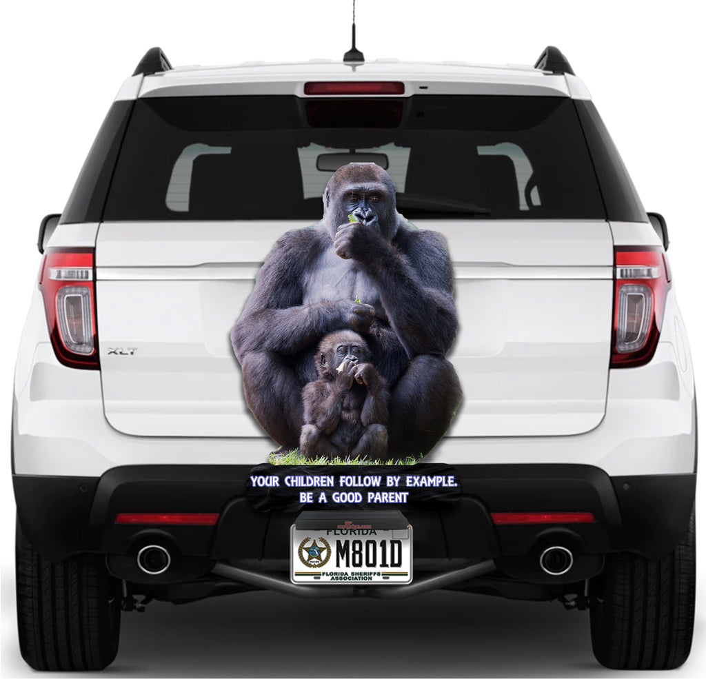 Father and Son Gorillas