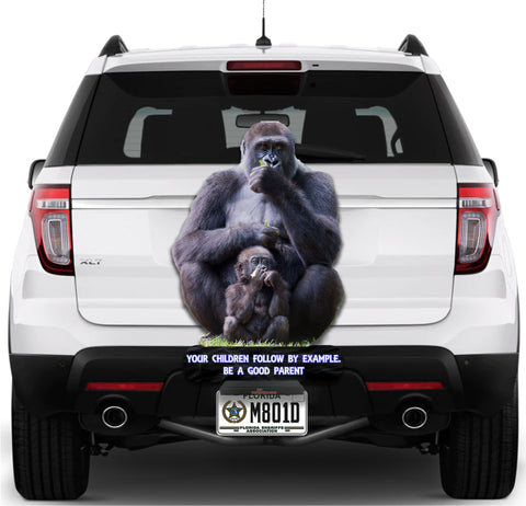 Image of Father and Son Gorillas
