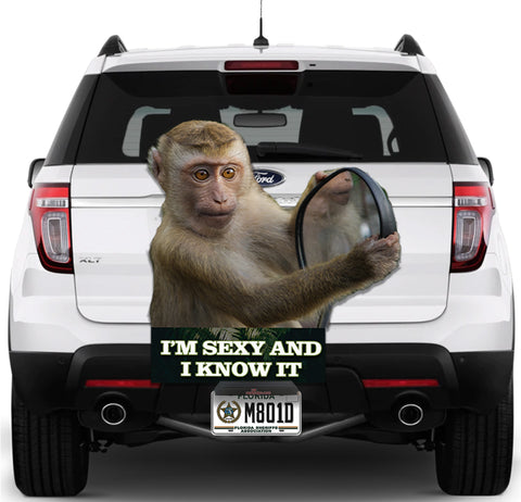 Image of Monkey "I'm sexy and I know it"
