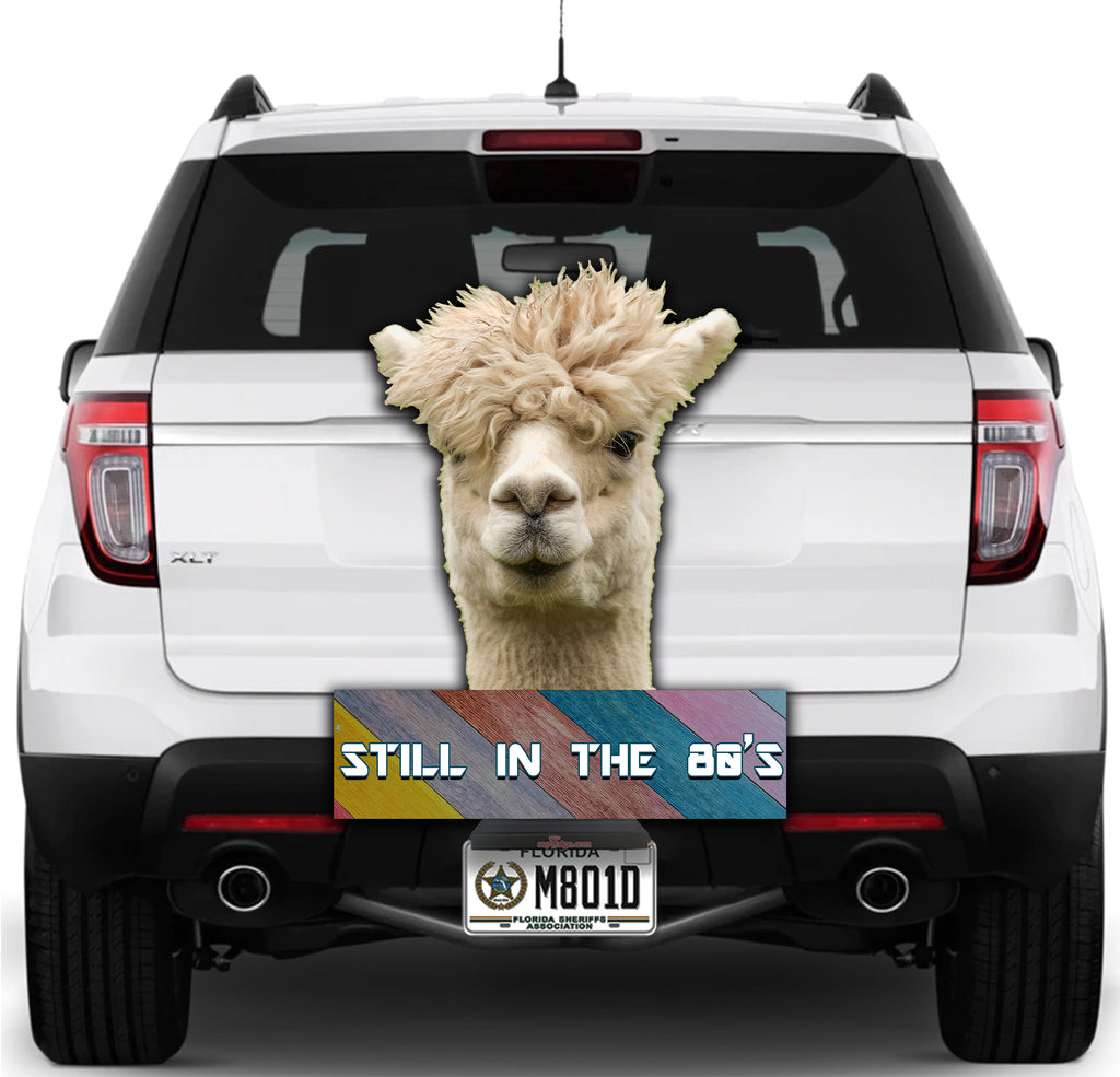 Alpaca-Stuck in the 80s