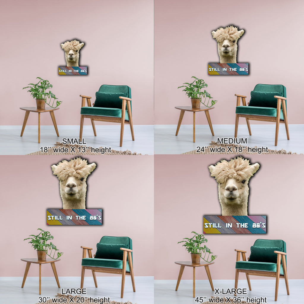 Alpaca-Stuck in the 80s