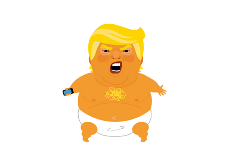 Image of TRUMP BABY