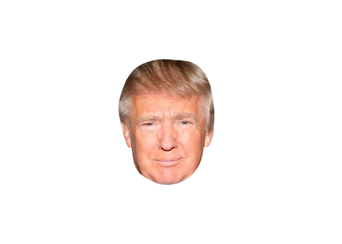 Image of TRUMP FACE