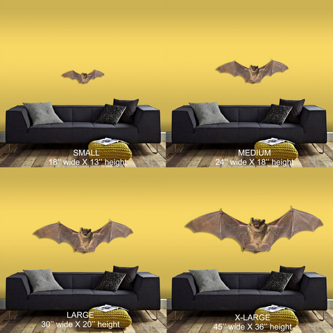 Image of Bat Corona