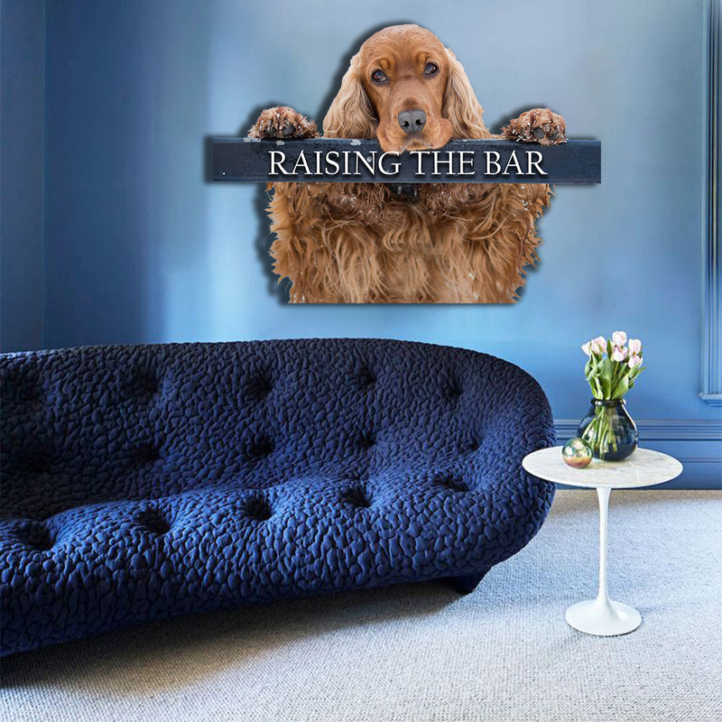 Cocker Spaniel Raising The Bar