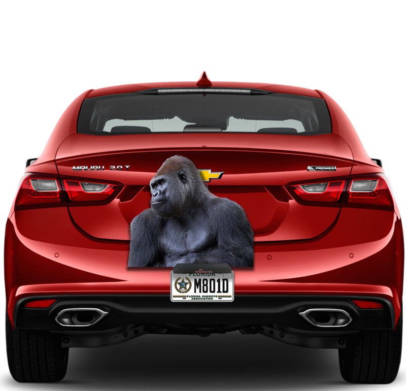 Gorilla