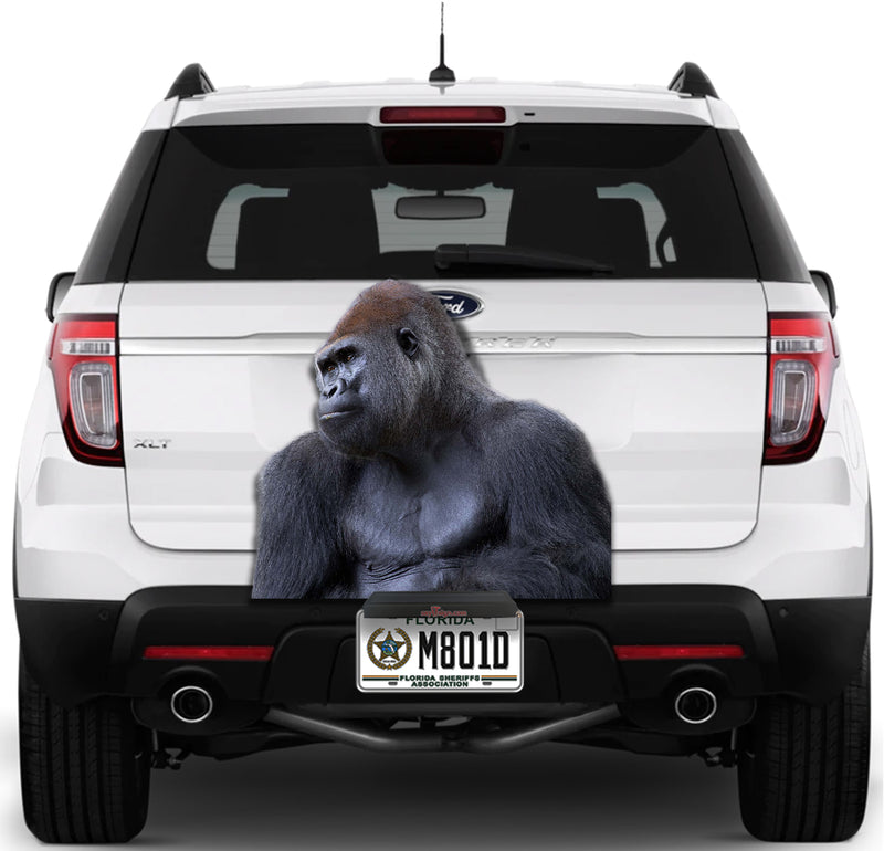Gorilla