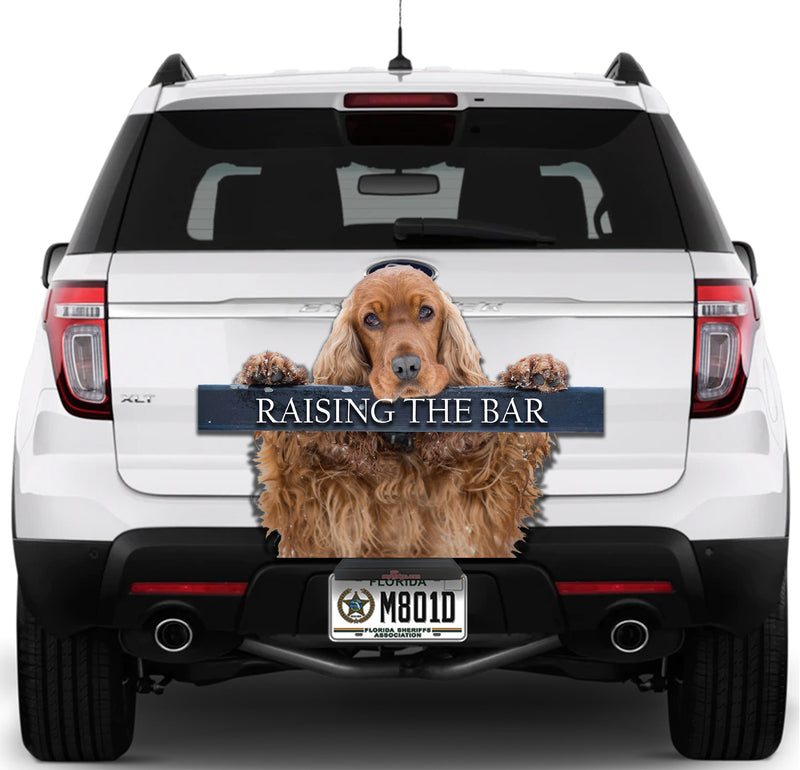 Cocker Spaniel Raising The Bar