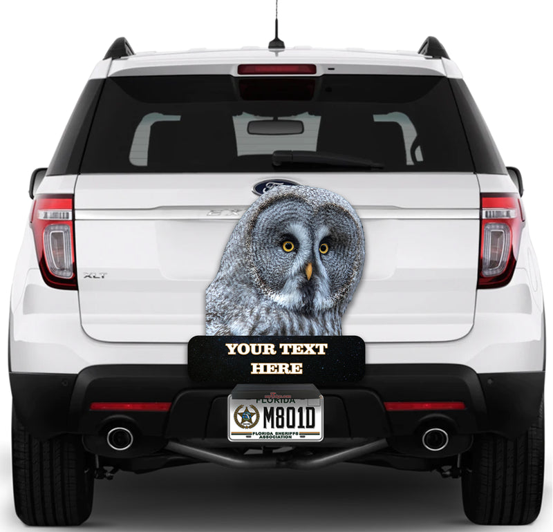 Owl "Give a Hoot Don't Pollute"