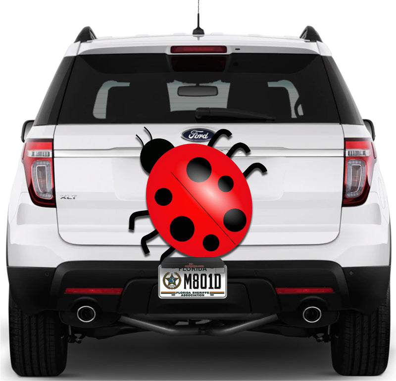 Lady Bug
