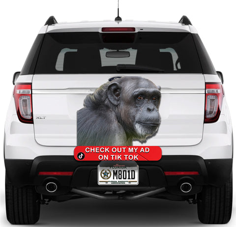 Image of Check me out Ape