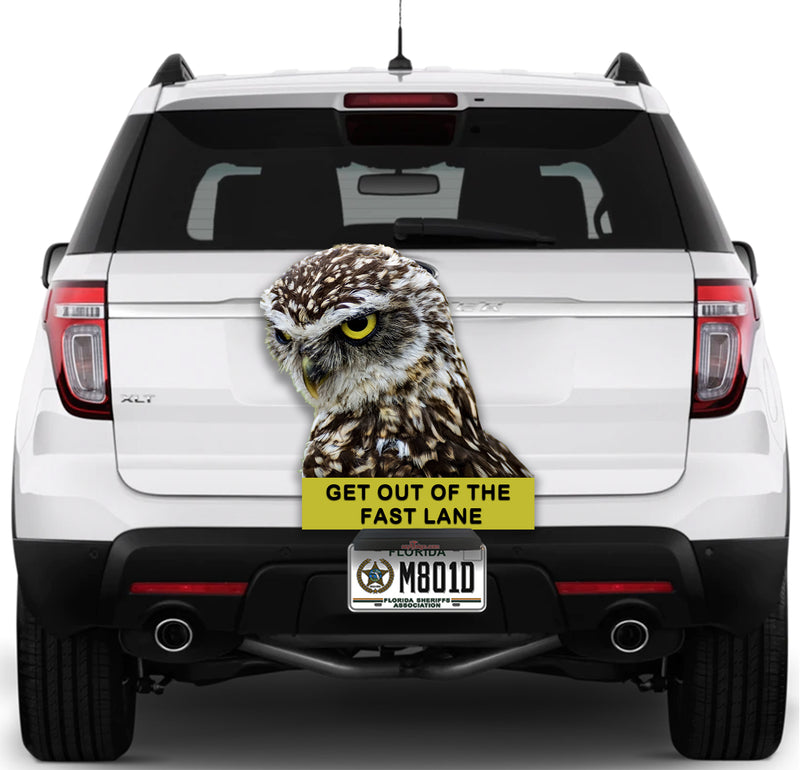 Owl "Stay out of the fast lane"