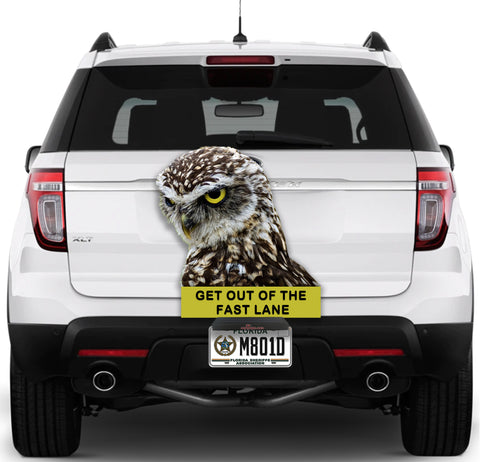 Image of Owl "Stay out of the fast lane"