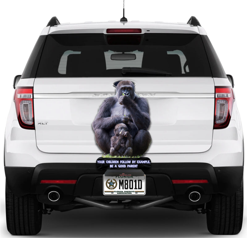 Father and Son Gorillas