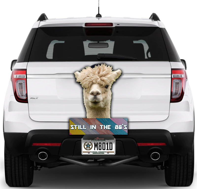 Alpaca-Stuck in the 80s