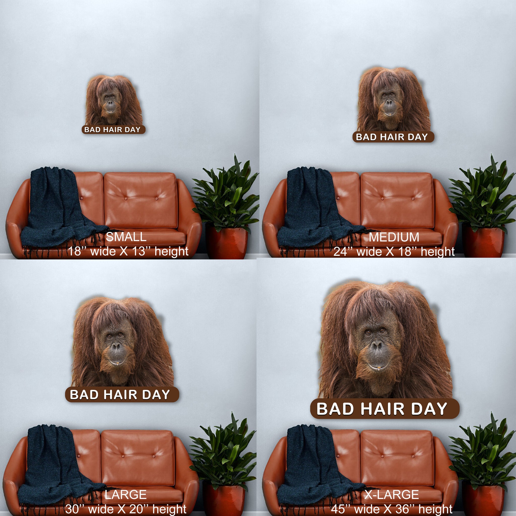 Orangutan Bad Hair Day