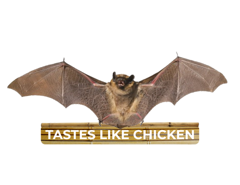 Image of Bat 🦇  Taste Like Chicken