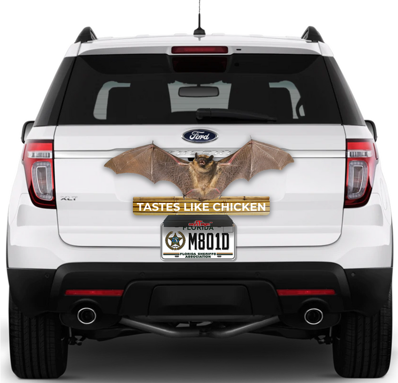 Bat 🦇  Taste Like Chicken