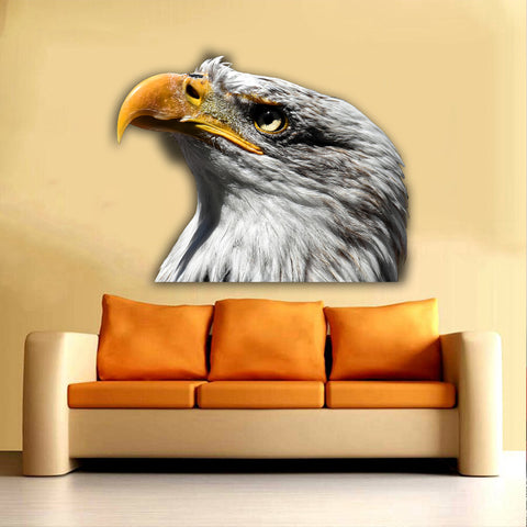 Image of Eagle Sideview