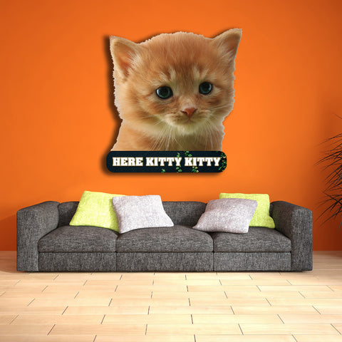 Image of Kitten Here Kitty Kitty