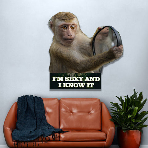 Image of Monkey "I'm sexy and I know it"