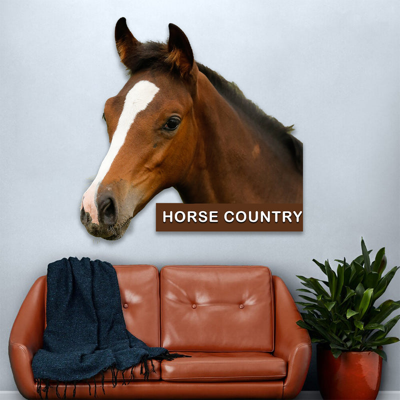 Horse Country